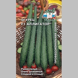 Огурец Аллигатор F1