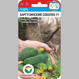 Огурец Баргузинский соболек F1