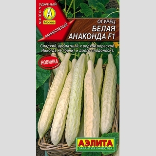 Огурец Белая анаконда F1