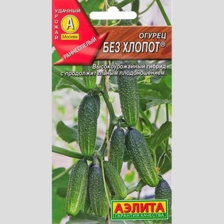 Огурец Без хлопот F1