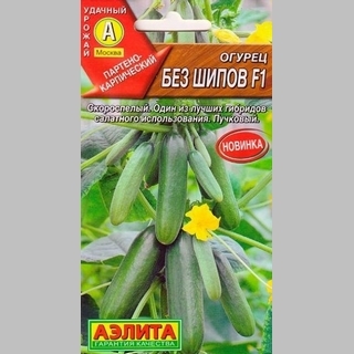 Огурец Без шипов F1