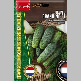 Огурец Brandino F1 (большой пакет)