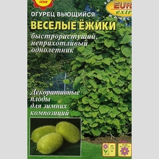 Огурец Весёлые ёжики (декоративный)