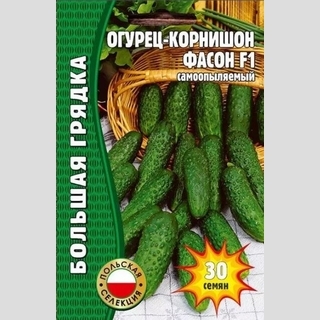 Огурец Фасон F1 (большой пакет)