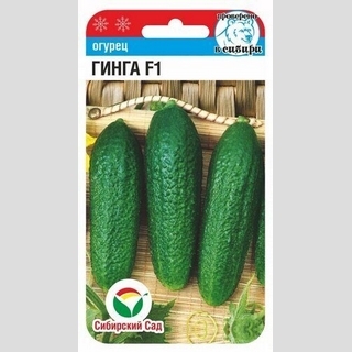 Огурец Гинга F1