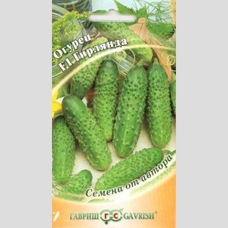 Огурец Гирлянда F1