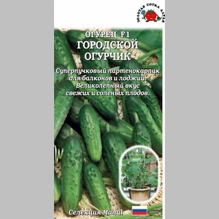 Огурец Городской огурчик F1 (для балконов и веранд)