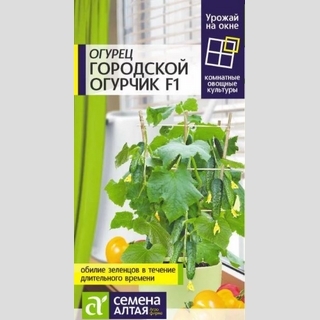 Огурец Городской Огурчик F1