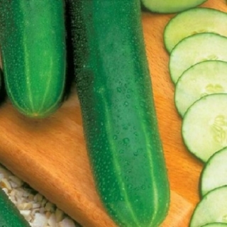 Огурец Гурман F1