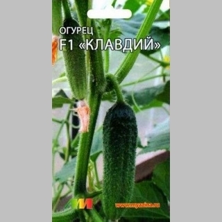Огурец Клавдий F1