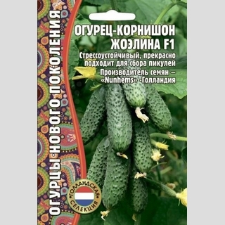 Огурец Жоэлина F1 (большой пакет)