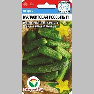 Огурец Малахитовая россыпь F1