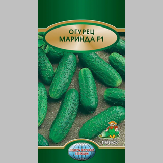 Огурец Маринда F1