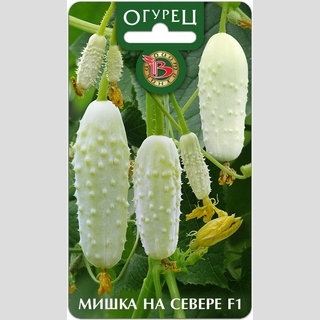 Огурец Мишка-на-Севере F1
