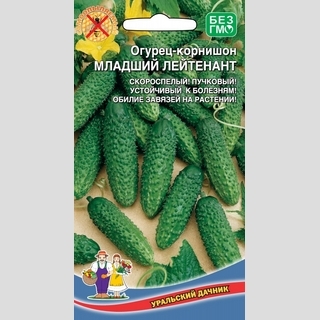 Огурец Младший Лейтенант F1