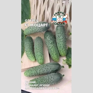 Огурец Моцарт F1
