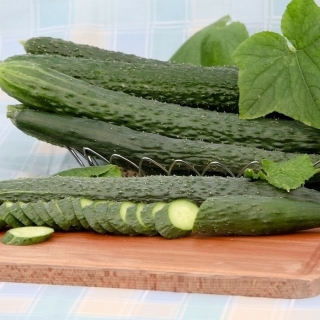 Огурец Настоящий Мужик F1