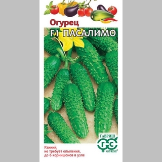 Огурец Пасалимо F1