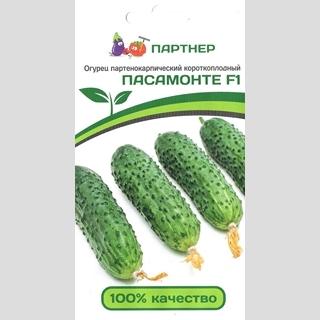 Огурец Пасамонте F1