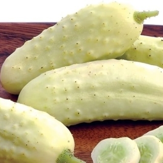 Огурец Пикколо Бьянка