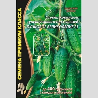 Огурец Пучковое великолепие F1 (большой пакет)