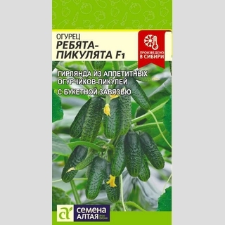 Огурец Ребята-Пикулята F1