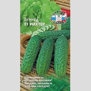 Огурец Рихтер F1