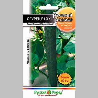 Огурец Русский размер XXL F1