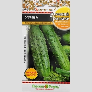 Огурец Русский размер F1