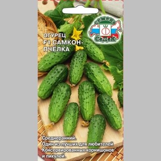 Огурец Самкон Пчёлка F1