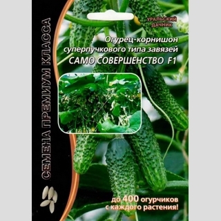 Огурец Само совершенство F1 (большой пакет)