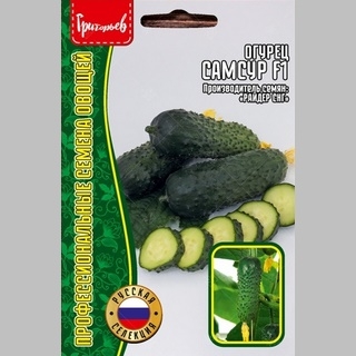 Огурец Самсур F1 (большой пакет)