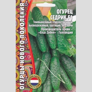 Огурец Седрик F1 (большой пакет)