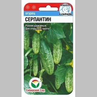 Огурец Серпантин