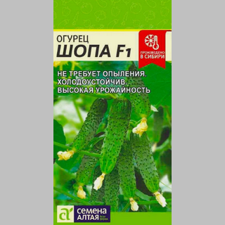 Огурец Шопа F1