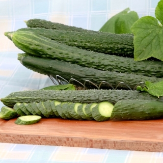 Огурец Щука F1