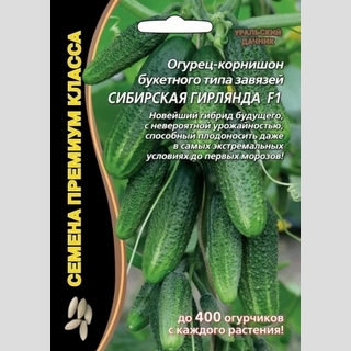 Огурец Сибирская Гирлянда F1