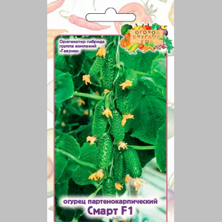 Огурец Смарт F1