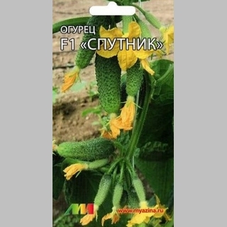 Огурец Спутник F1