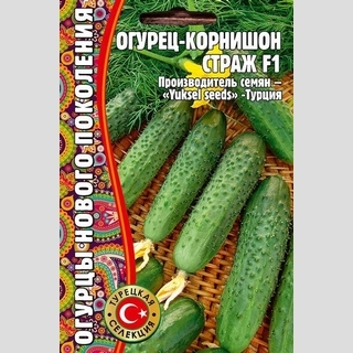 Огурец Страж F1 (большой пакет)