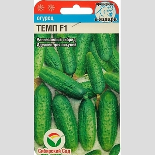 Огурец Темп F1