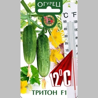 Огурец Тритон F1