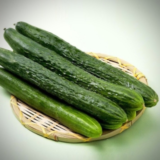 Огурец Цуруги №5 F1