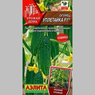 Огурец Уплетайка F1