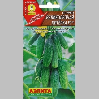 Огурец Великолепная пятерка F1