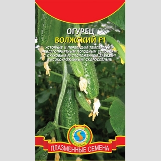Огурец Волжский F1