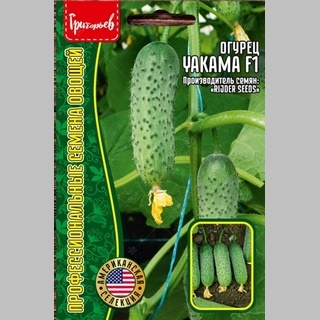 Огурец Yakama F1 (Якама F1) (большой пакет)
