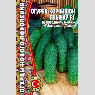 Огурец Янычар F1 (большой пакет)
