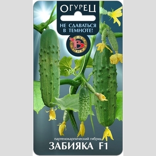 Огурец Забияка F1