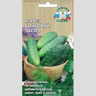 Огурец Бочковой Засол